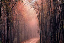 jinnianhui金年会首页：2022-2023賽季歐洲冠軍聯賽淘汰賽賽程表.