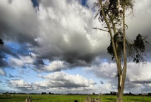 足協罰單：長春亞泰隊長孫捷因鎖喉被禁賽5場+罰款5萬.