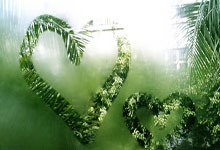 金年会体育官网：西甲第28輪馬德裏競技2-1加的斯 菲利克斯閃擊德保羅破門.