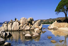 金年会体育官方网站：西甲第1輪阿拉維斯1-4皇家馬德裏 本澤馬梅開二度維尼修斯替補建功.